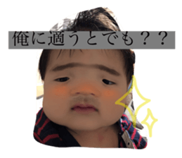 86464497