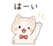 864645555