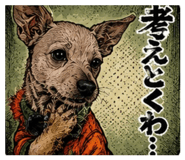864645915