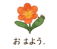 864645923