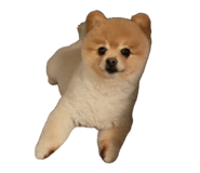 864646360