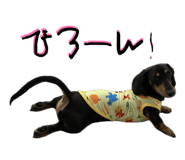 864648014