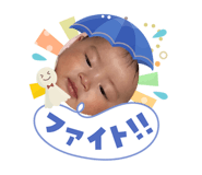 864648613