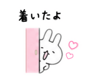 864650253