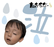 864650675