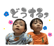 864650688