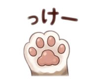 864651253