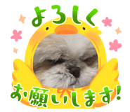 864651349