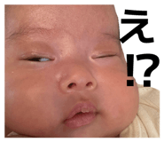 864652555