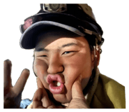 864653028