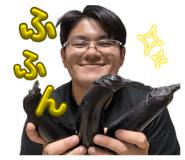 864653774
