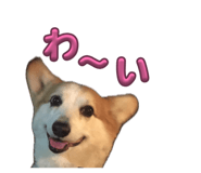 864653809