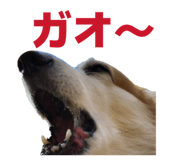 864653810
