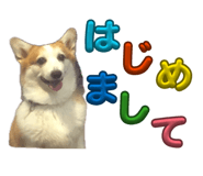 864653812