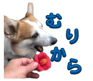 864653813