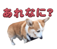 864653815