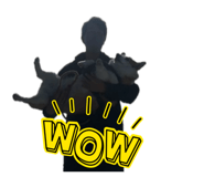 864653817