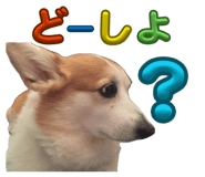 864653821