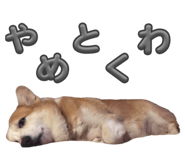 864653822