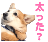 864653830