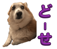 864653831