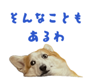 864653834