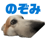 864653835