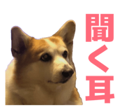 864653840