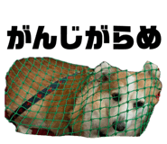 864653842
