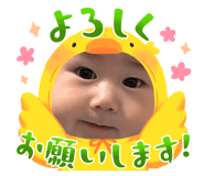 864653918