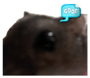 864653966