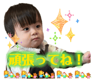 864654020