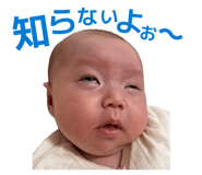 864654049