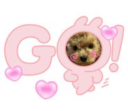 864654514