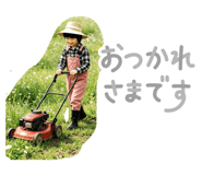 864654531