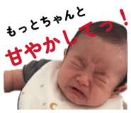 864654576