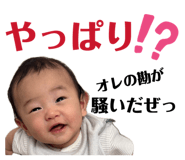 864654586