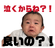 864654588