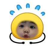 864654646
