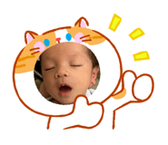864655728