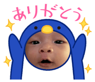 864655734