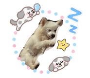 864655802