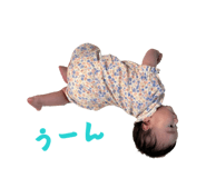 864656112