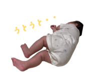 864656113