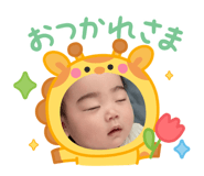 864656803
