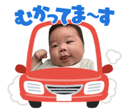 864657035
