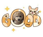 864657324