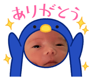 864657961