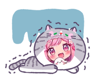 864658362