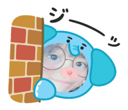 864658447
